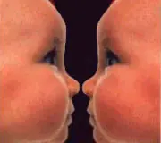 no