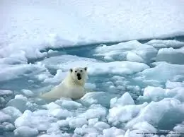 Impacto alarmante del cambio climático según informe del B
