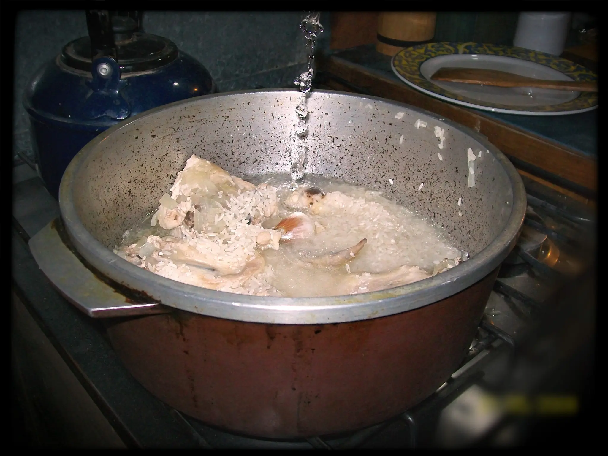cebolla