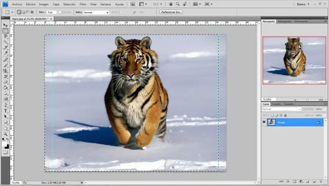 photoshop