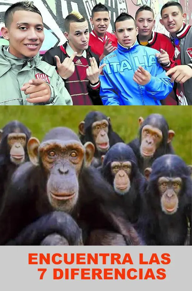 Wachiturros (Humor)