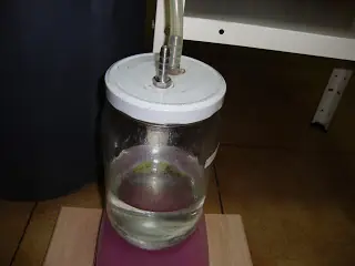 Alcohol casero de las frutas