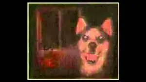 Creepypasta: Smiledog.jpg