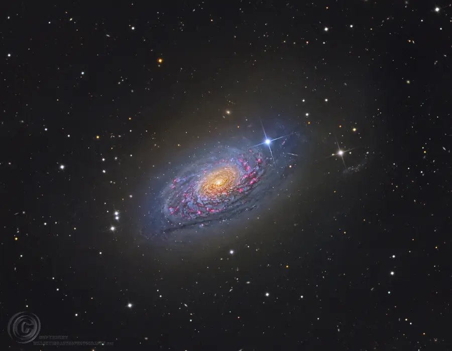 Messier 63: la galaxia del Girasol. Imagen Astronómica de D