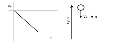 fisica