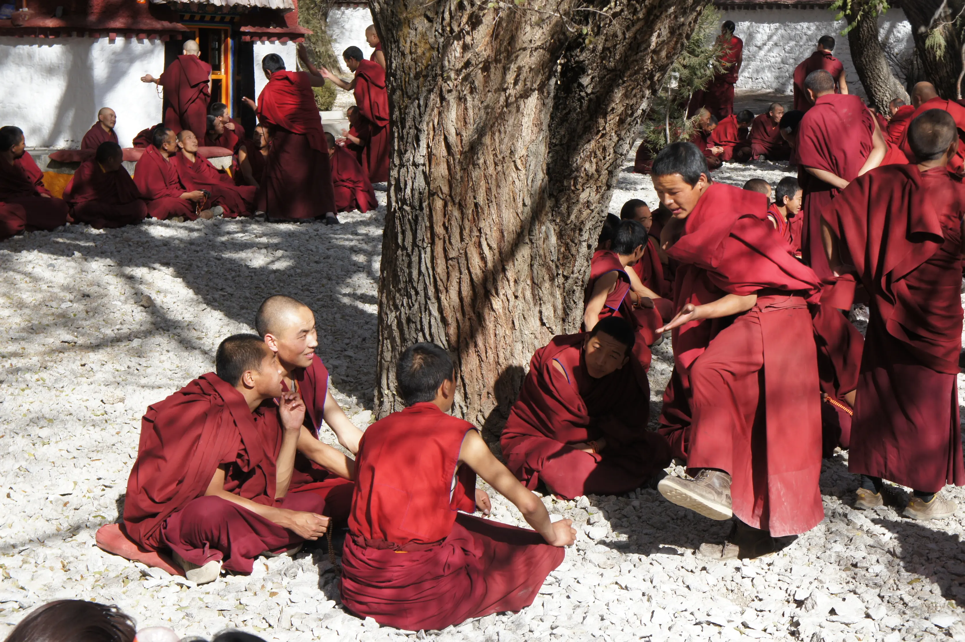 monjes