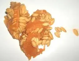 Guia: Huerta de Melones