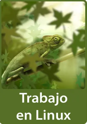 Comente