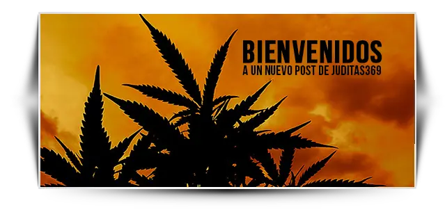 5 beneficios de consumir marihuana en pareja