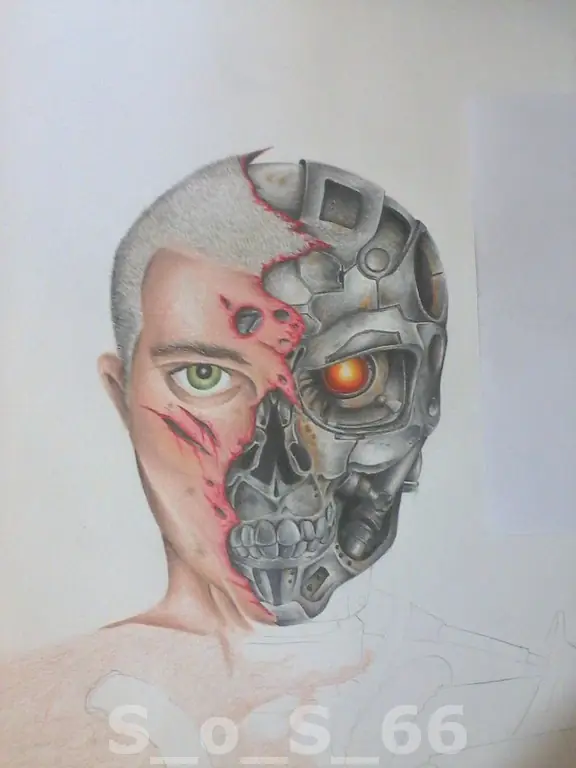 El Día que Fuí Terminator...