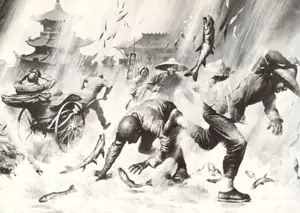 [Real] El día que llovieron arañas(Y otros animales)