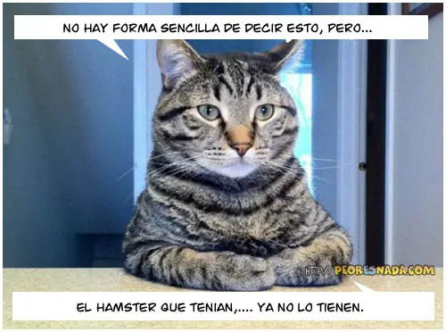 Tigre de Bengala