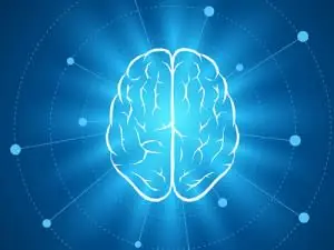 Cerebro y oxígeno