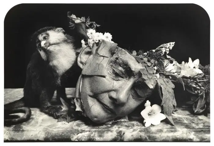 joel peter witkin