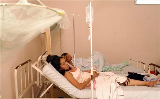 Argentina dengue
