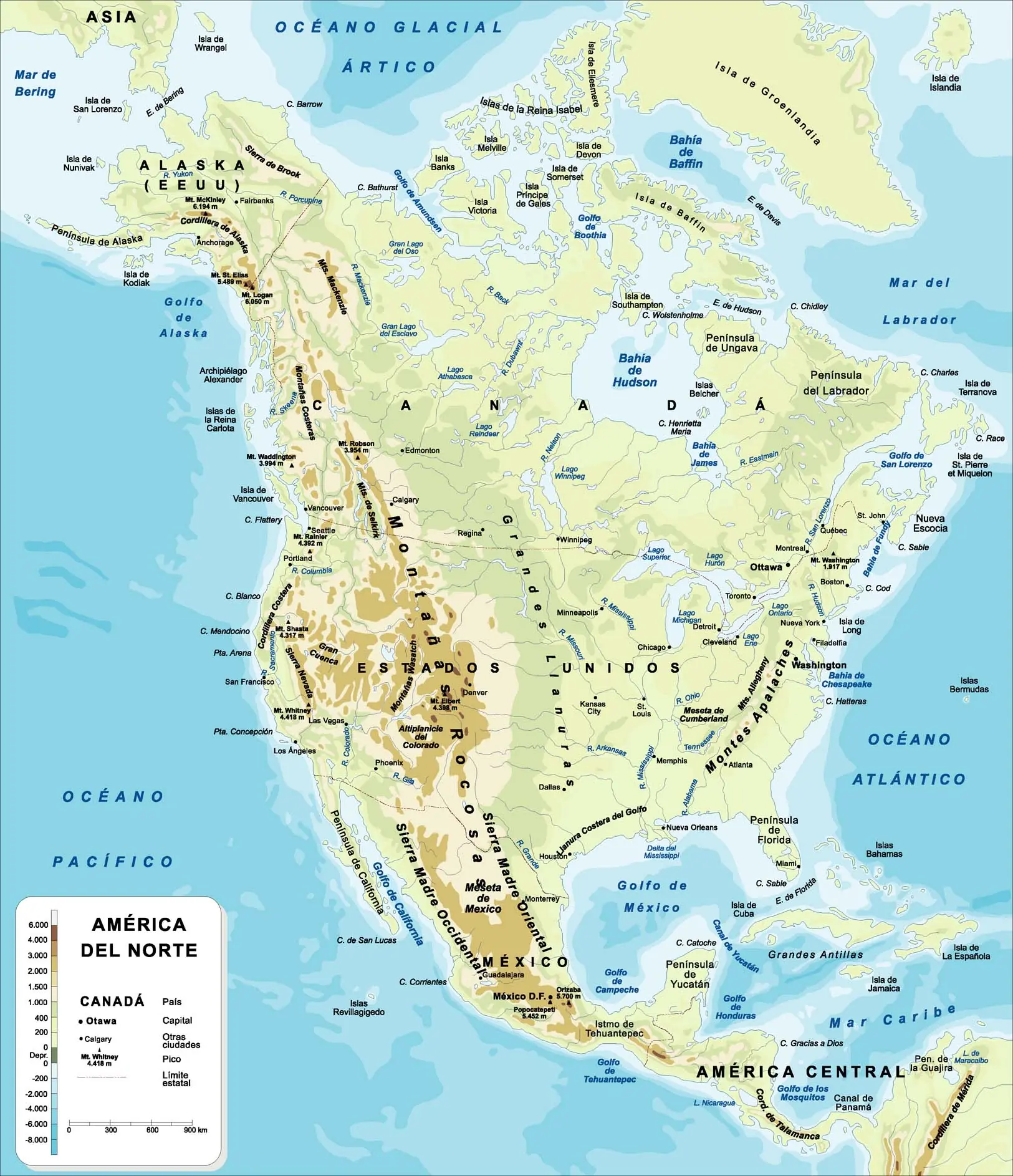 lo mejor en curiosidad