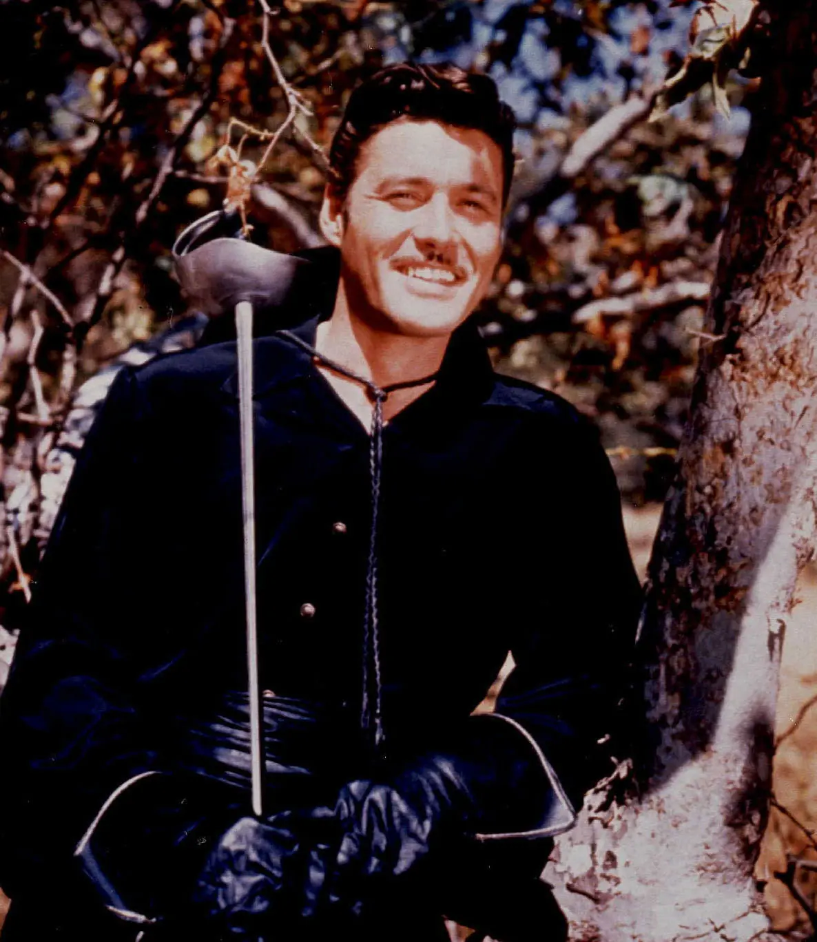 el zorro