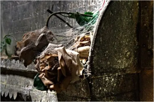 Abandonos. Las tenebrosas criptas de Namur y Laeken.