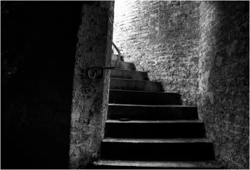 Abandonos. Las tenebrosas criptas de Namur y Laeken.