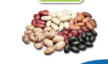 alimentacion