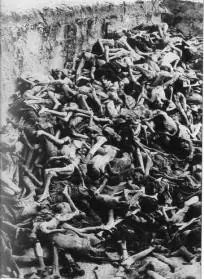 El genocidio nazi