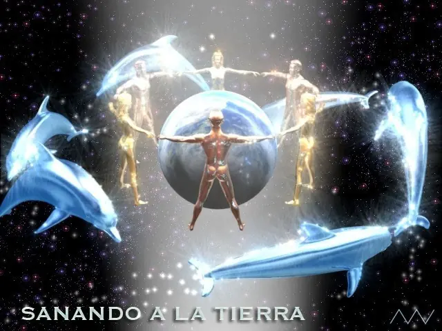evolución