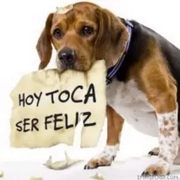 10 cosas que hay que dejar de hacer...