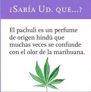 Sabias que...