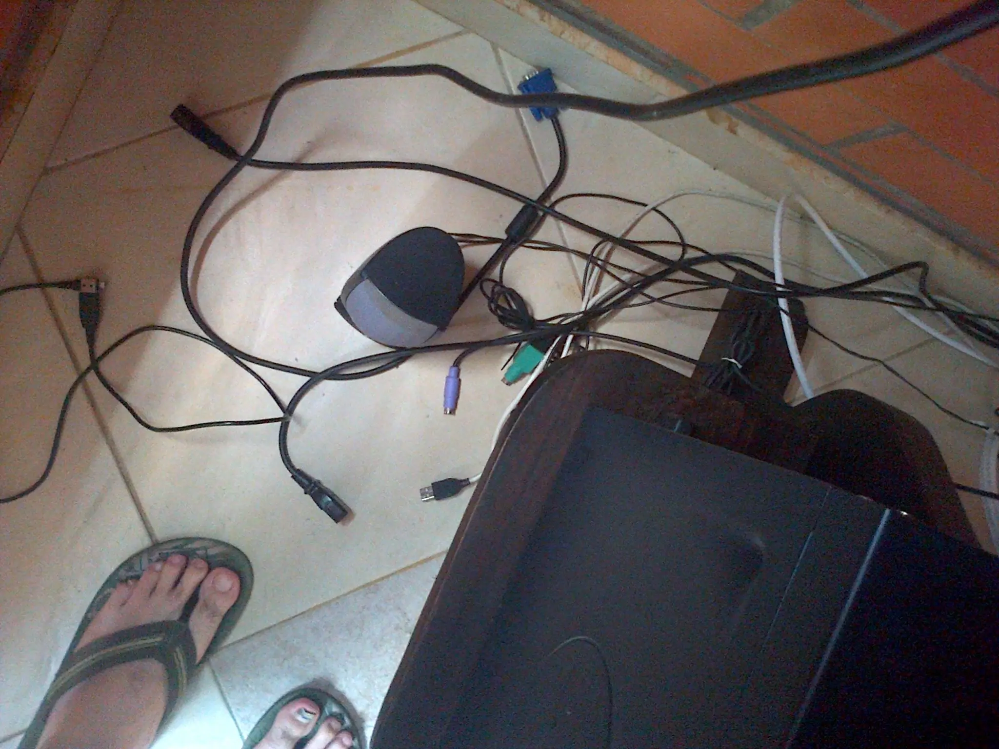 Hoy le toco baño a mi PC