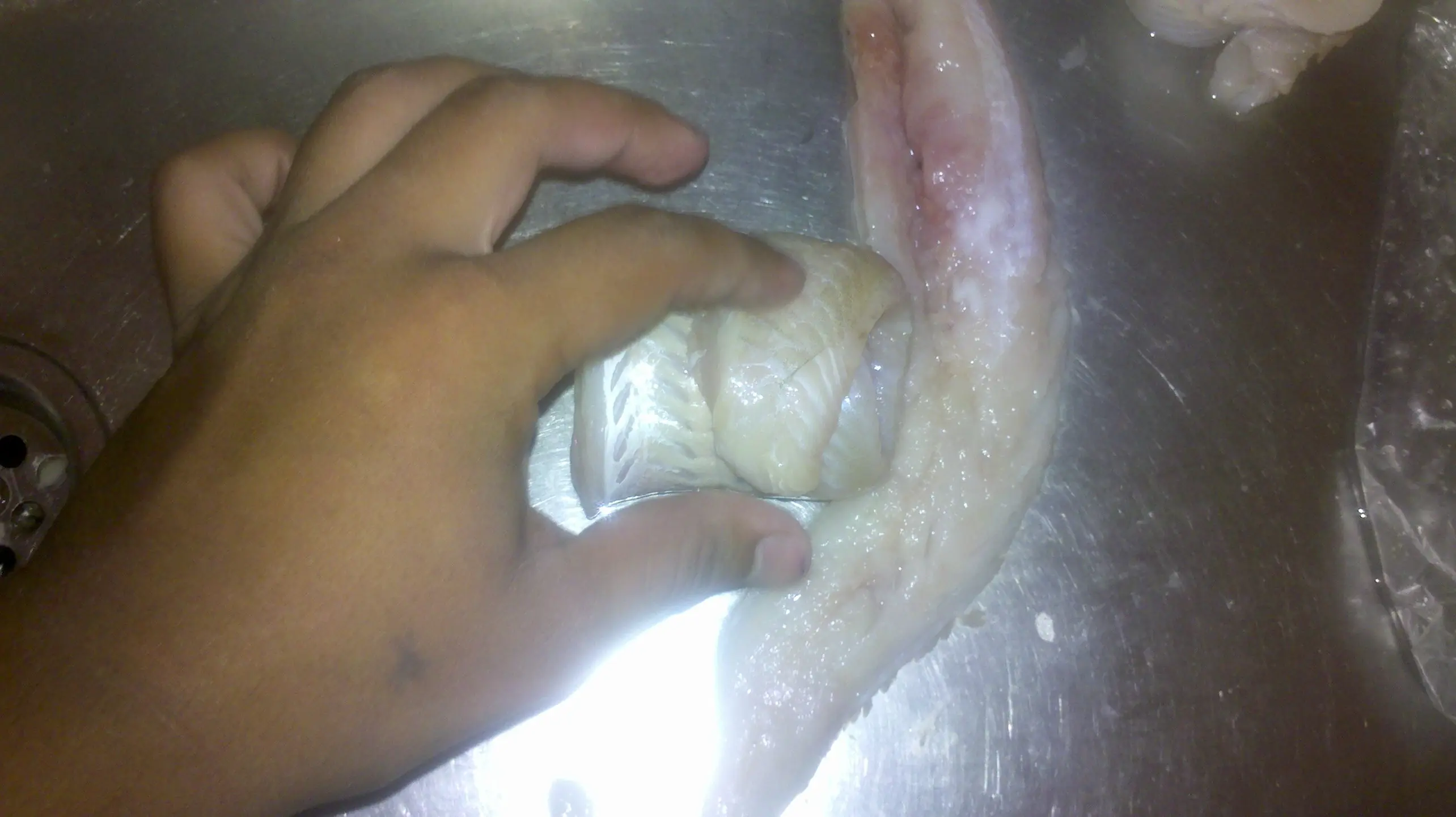 mariscos