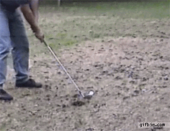 Gifs