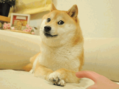 15 Gifs Divertidos >Entra<