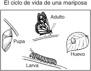 Que