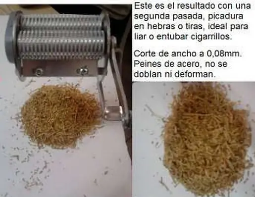 Planta Virginia