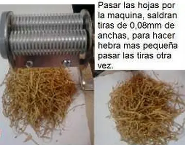tabaco
