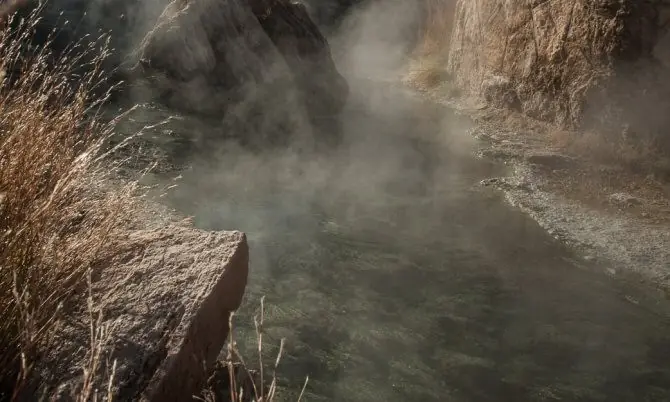 Algas capaces de vivir en charcas sulfurosas.