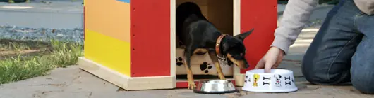 Como hacer?:Una casa de perro