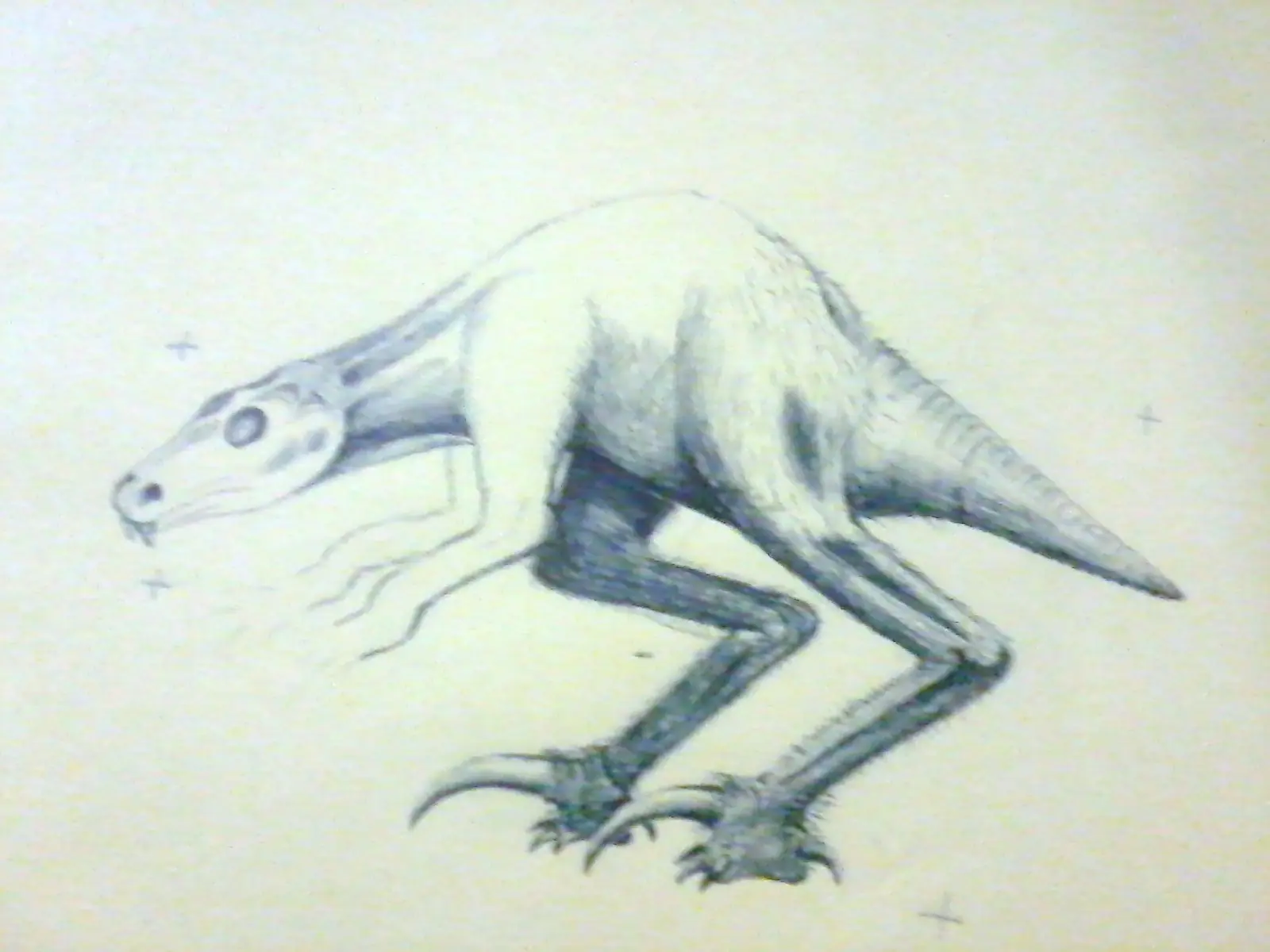 Dibujando a boligrafo