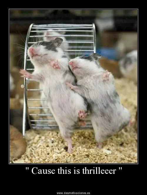 humor
