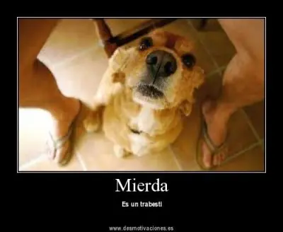 humor