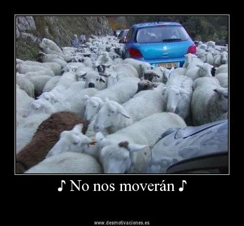 taringa