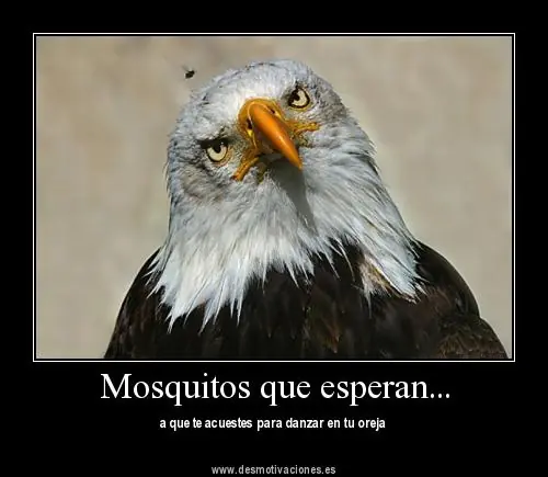 desmotivaciones