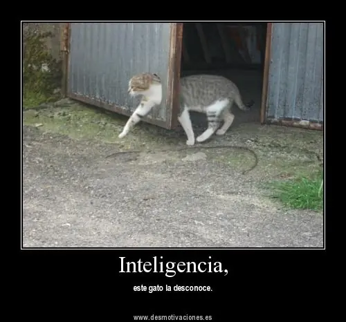 humor