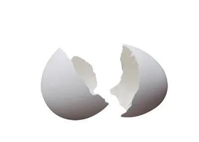 cutícula