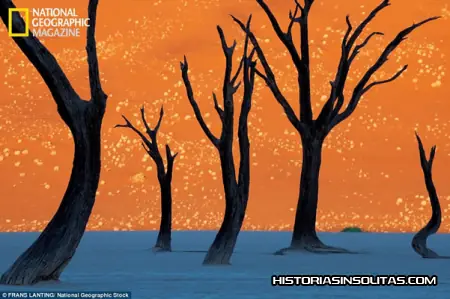 historias! impresionantes!