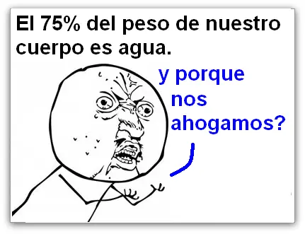 apuesto