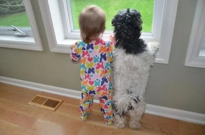 Amistad, definición Gráfica.