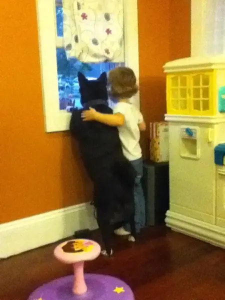 amistad