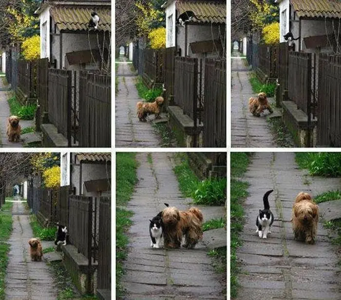 Amistad, definición Gráfica.