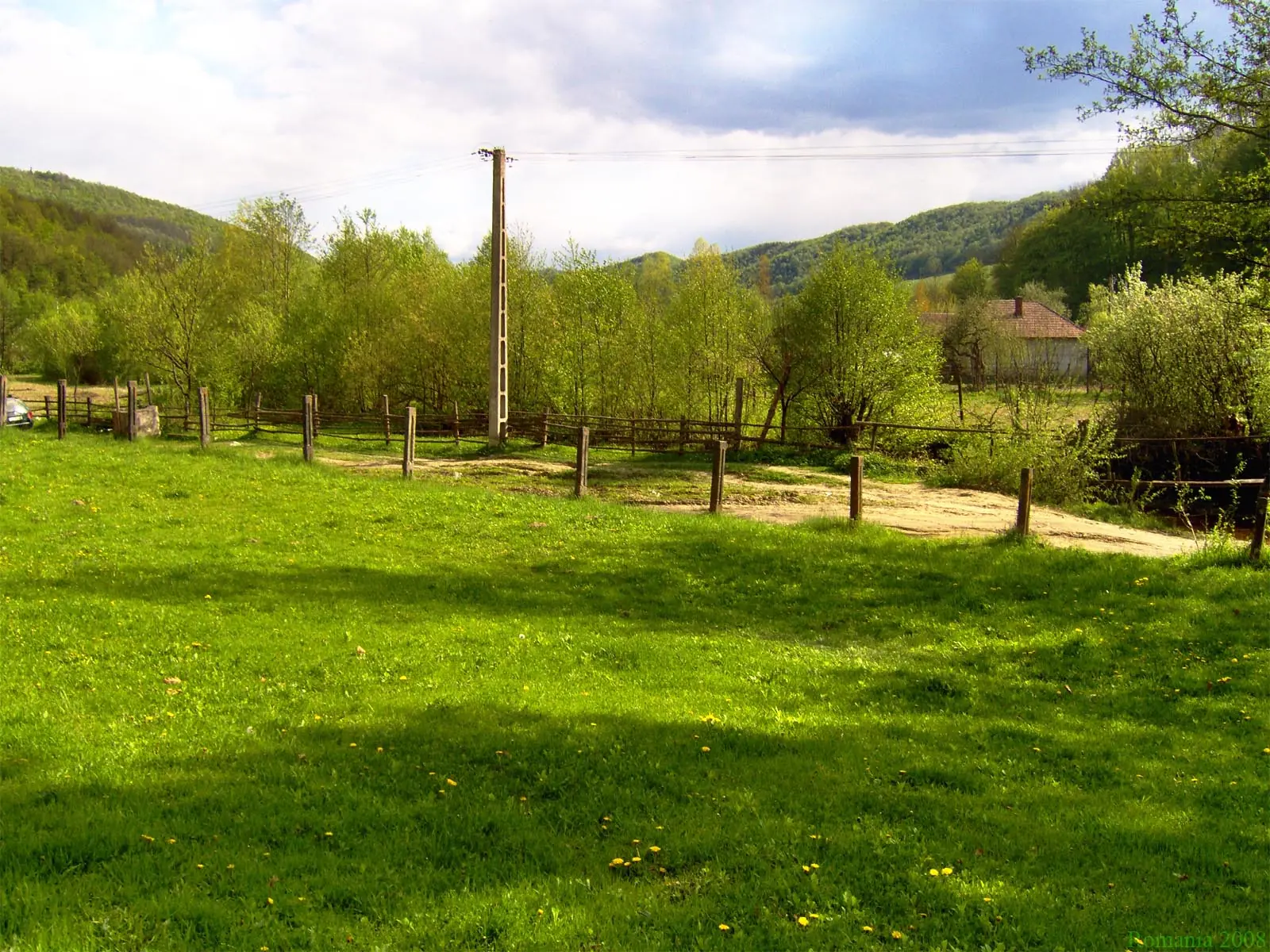 images